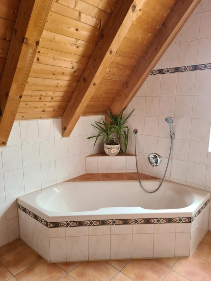 Ferienwohnung Helga Thalmassing  エクステリア 写真